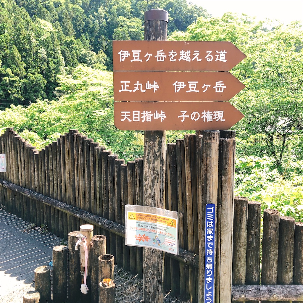 f:id:Buchita:20200607181028j:image f:id:Buchita:20200607181028j:image