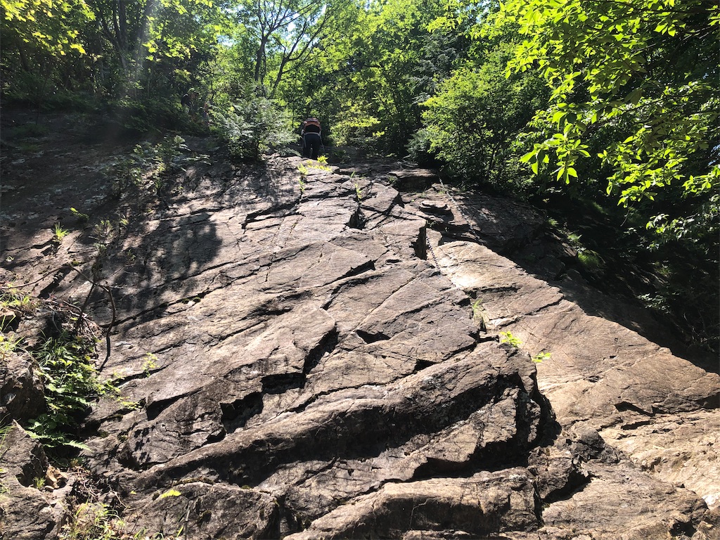 f:id:Buchita:20200607181105j:image f:id:Buchita:20200607181105j:image
