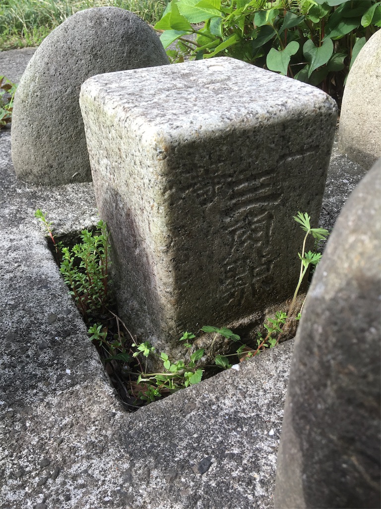 f:id:BullBull-Musao:20190513125655j:image f:id:BullBull-Musao:20190513125655j:image
