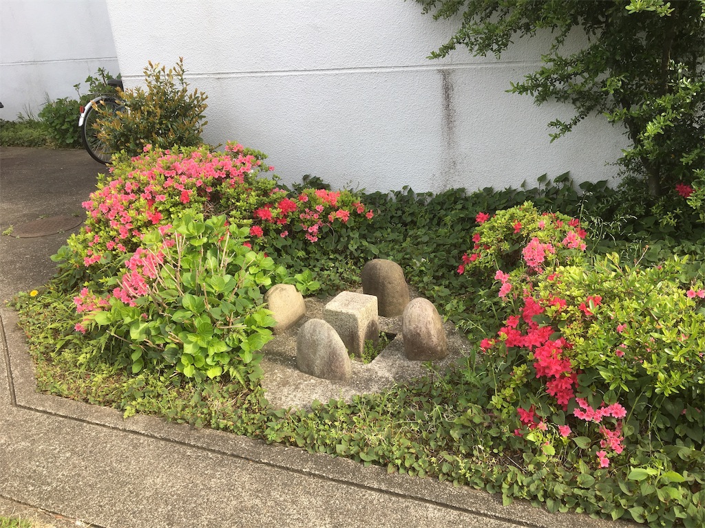 f:id:BullBull-Musao:20190513125708j:image f:id:BullBull-Musao:20190513125708j:image