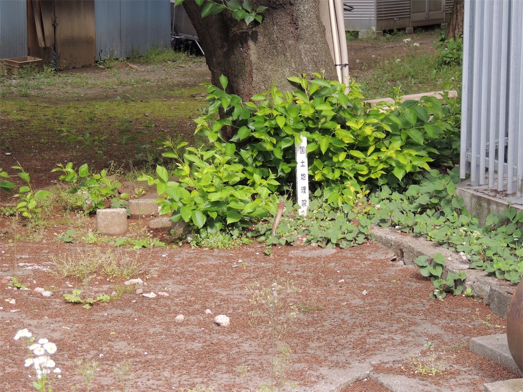 f:id:BullBull-Musao:20190513194207j:image