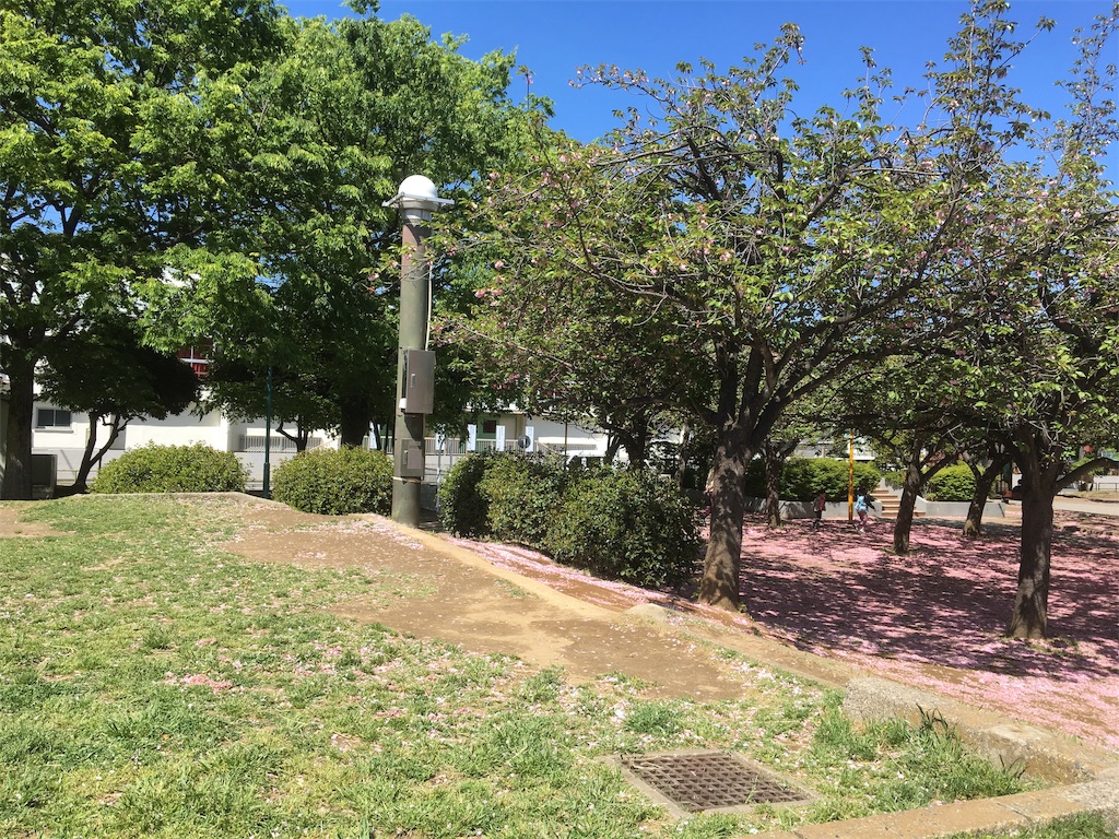 f:id:BullBull-Musao:20190513204203j:image