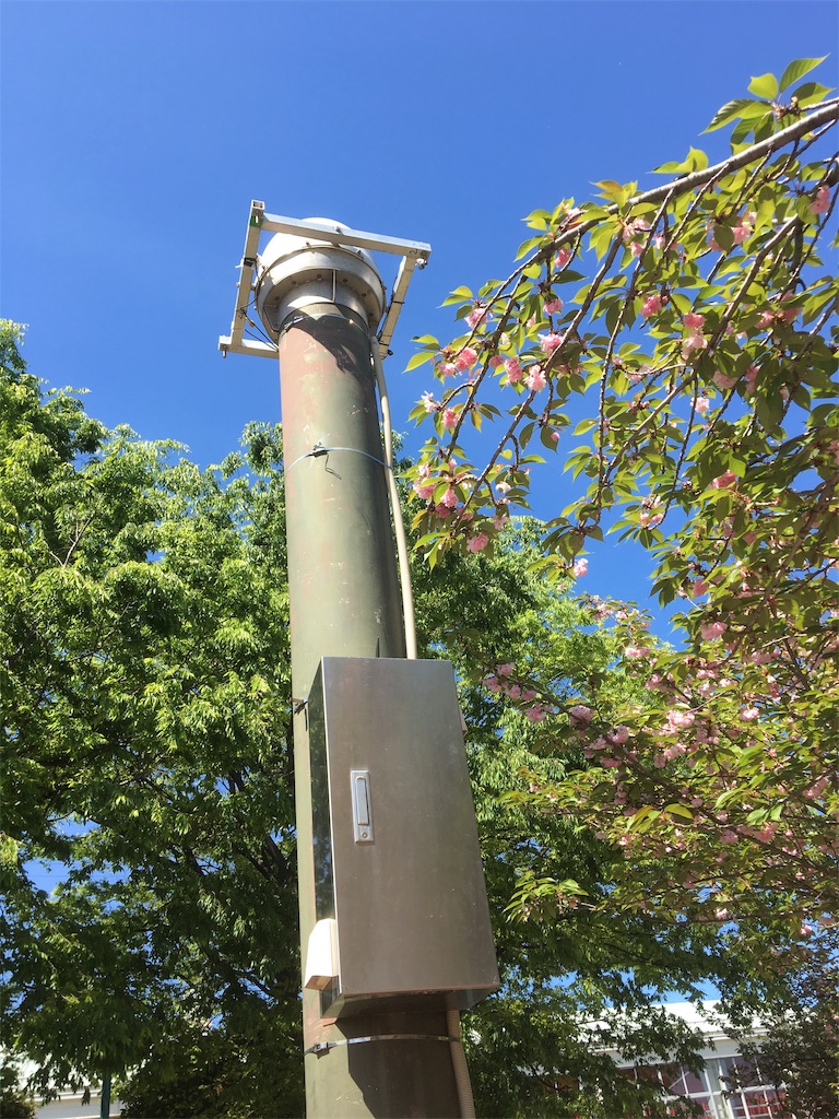 f:id:BullBull-Musao:20190513204257j:image