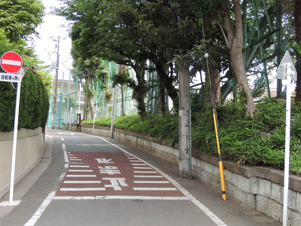 f:id:BullBull-Musao:20190513221742j:image