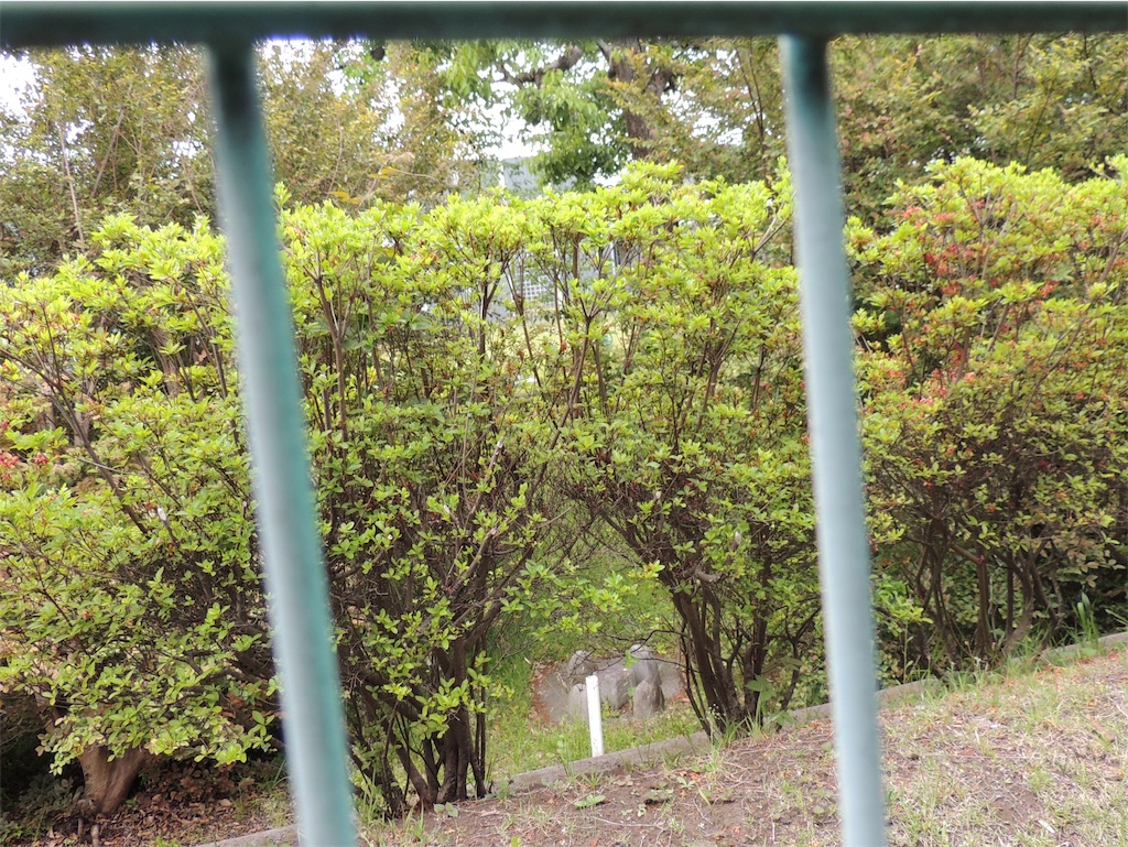 f:id:BullBull-Musao:20190521093802j:image f:id:BullBull-Musao:20190521093802j:image
