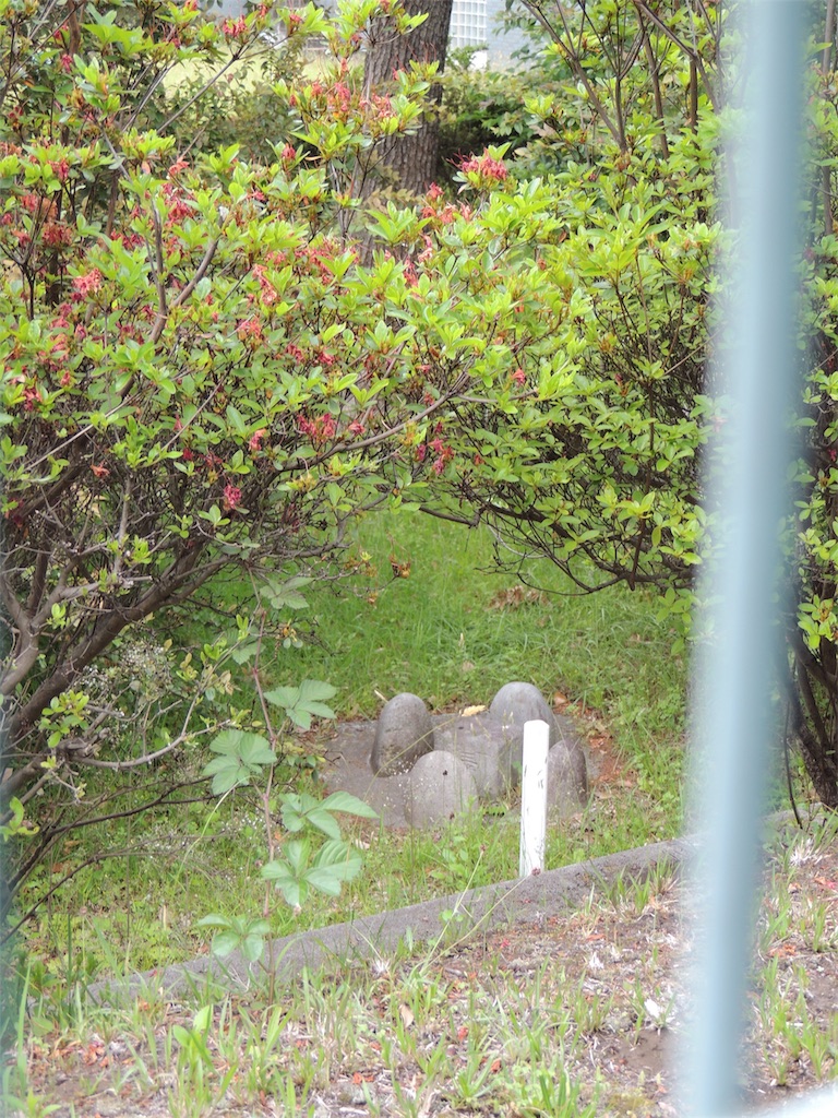 f:id:BullBull-Musao:20190521093922j:image f:id:BullBull-Musao:20190521093922j:image