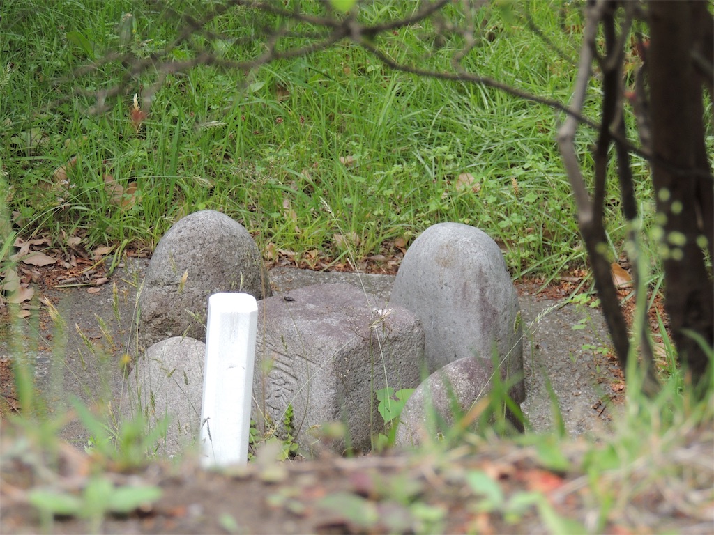 f:id:BullBull-Musao:20190521093951j:image f:id:BullBull-Musao:20190521093951j:image