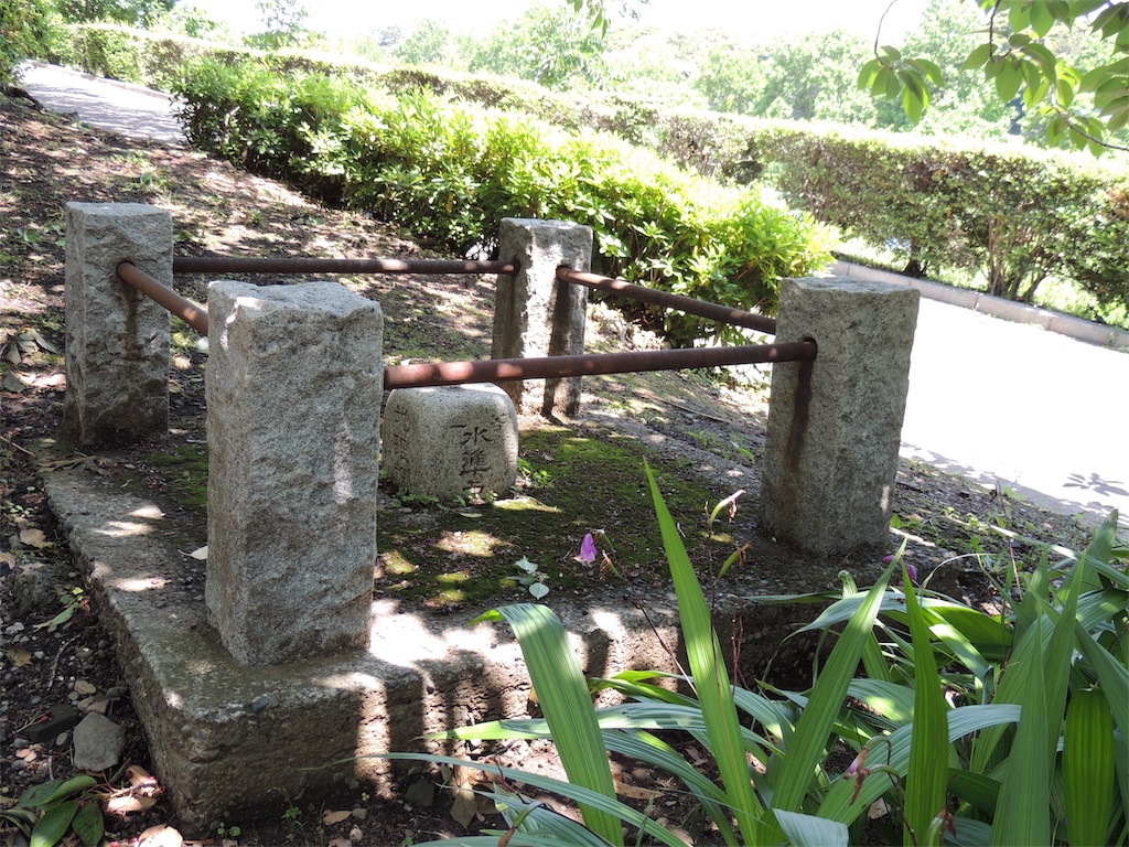 f:id:BullBull-Musao:20190526054405j:image f:id:BullBull-Musao:20190526054405j:image