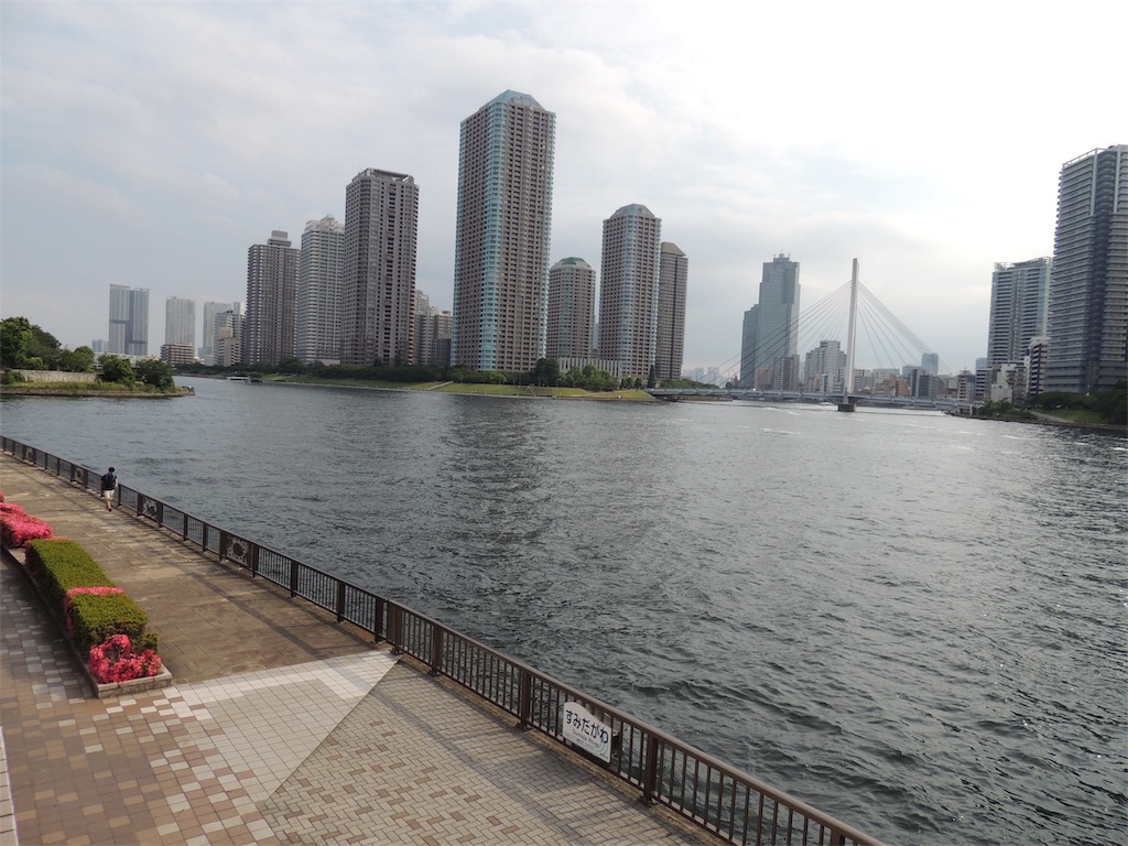 f:id:BullBull-Musao:20190604230033j:image