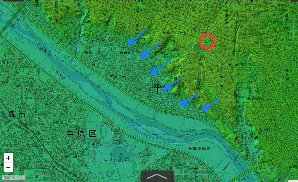 f:id:BullBull-Musao:20190612083445j:image f:id:BullBull-Musao:20190612083445j:image