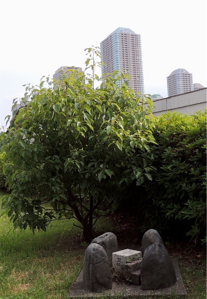 f:id:BullBull-Musao:20190613131455j:image