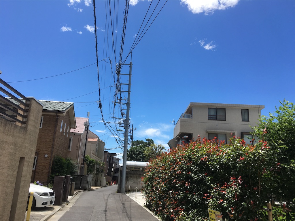 f:id:BullBull-Musao:20190616190847j:image f:id:BullBull-Musao:20190616190847j:image