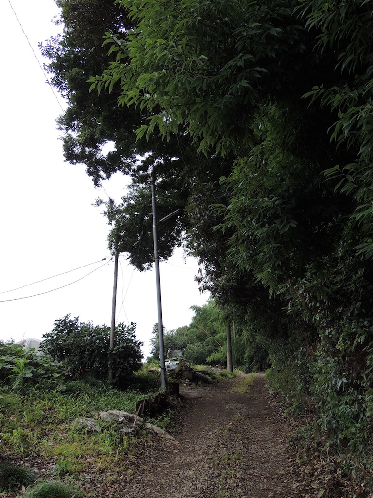 f:id:BullBull-Musao:20190630184348j:image