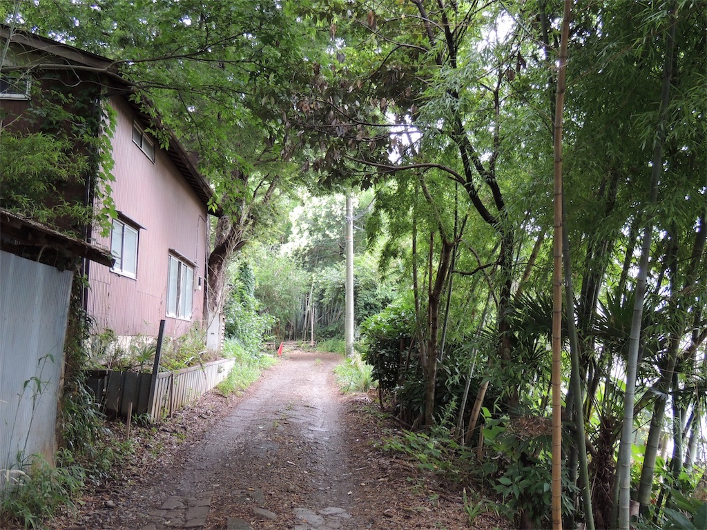f:id:BullBull-Musao:20190630184357j:image