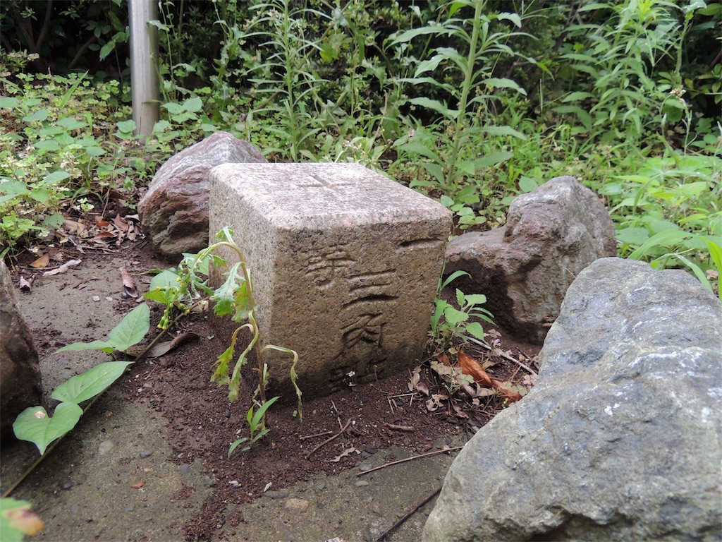 f:id:BullBull-Musao:20190630185607j:image