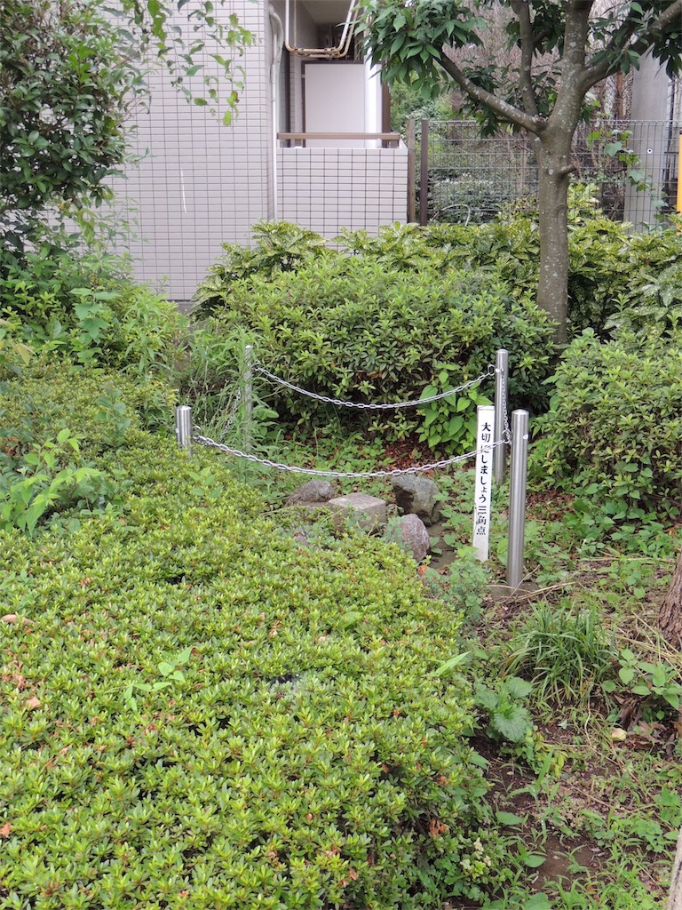 f:id:BullBull-Musao:20190630185617j:image