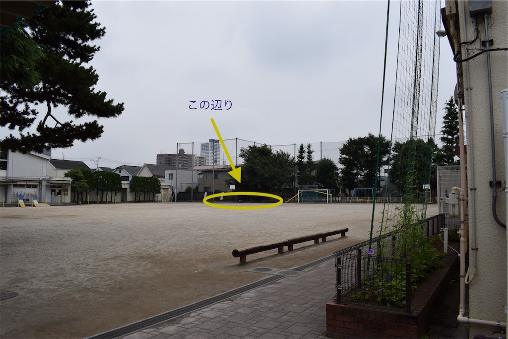 f:id:BullBull-Musao:20190721213055j:image