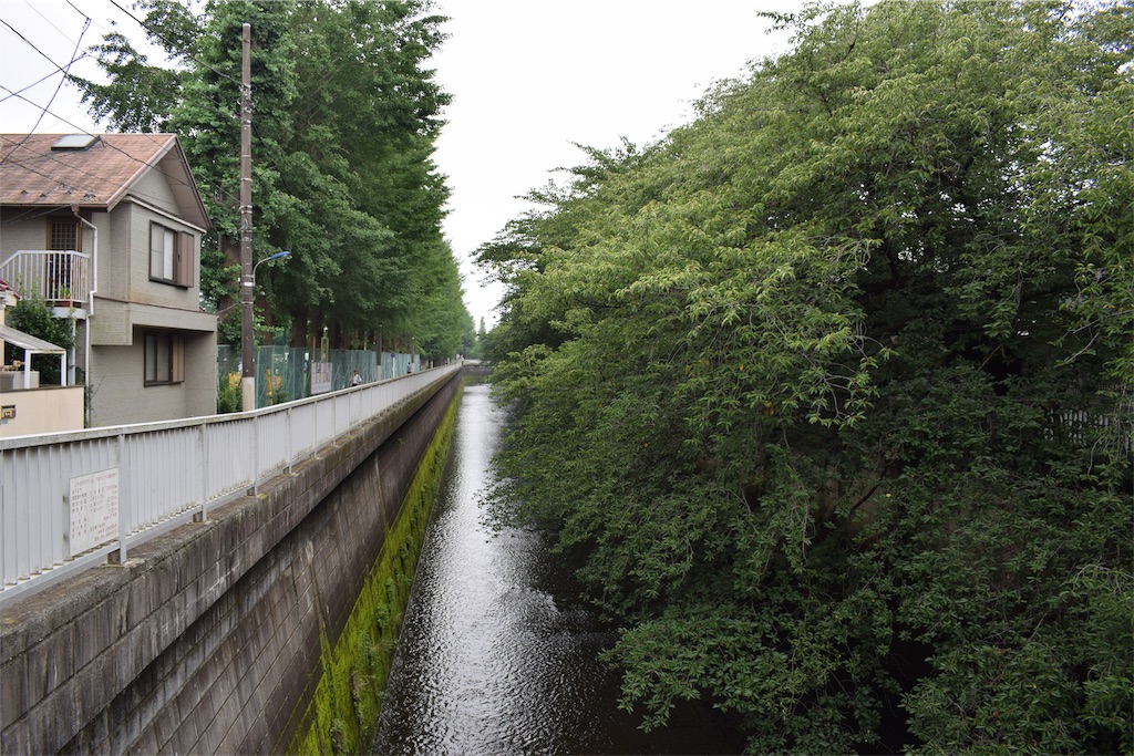 f:id:BullBull-Musao:20190721222807j:image