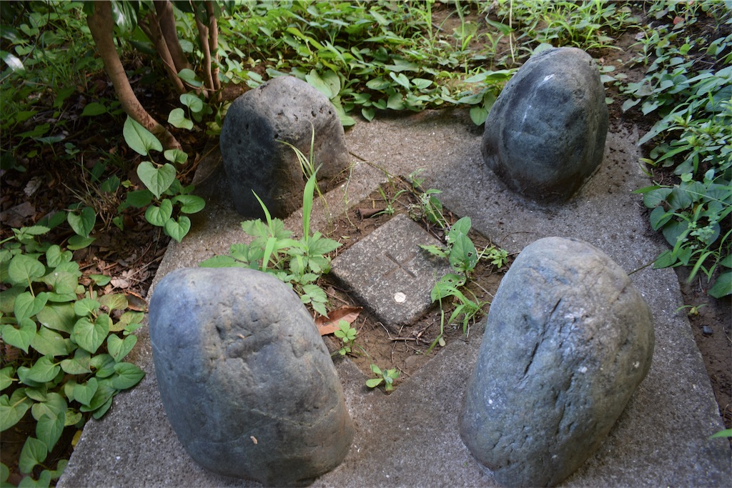 f:id:BullBull-Musao:20190810110341j:image