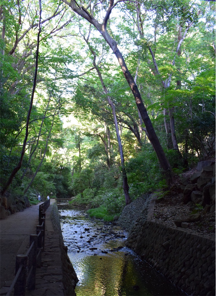 f:id:BullBull-Musao:20190810110542j:image