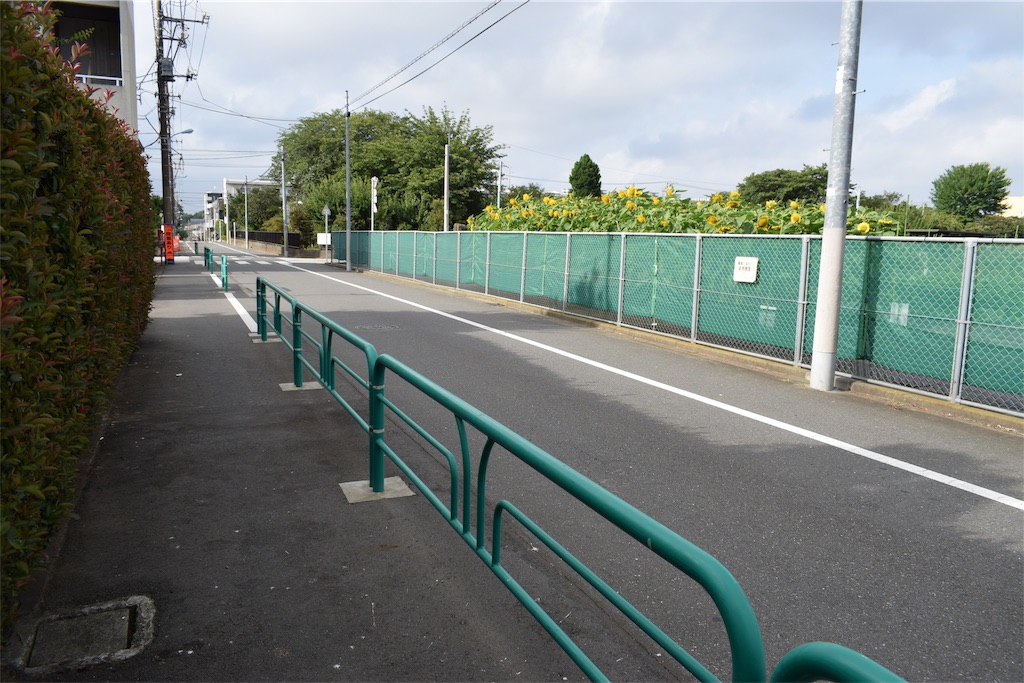 f:id:BullBull-Musao:20190813062132j:image f:id:BullBull-Musao:20190813062132j:image