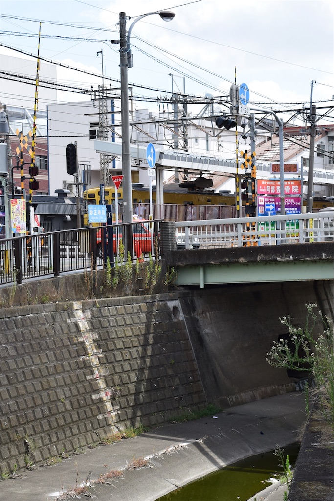 f:id:BullBull-Musao:20190813110945j:image f:id:BullBull-Musao:20190813110945j:image