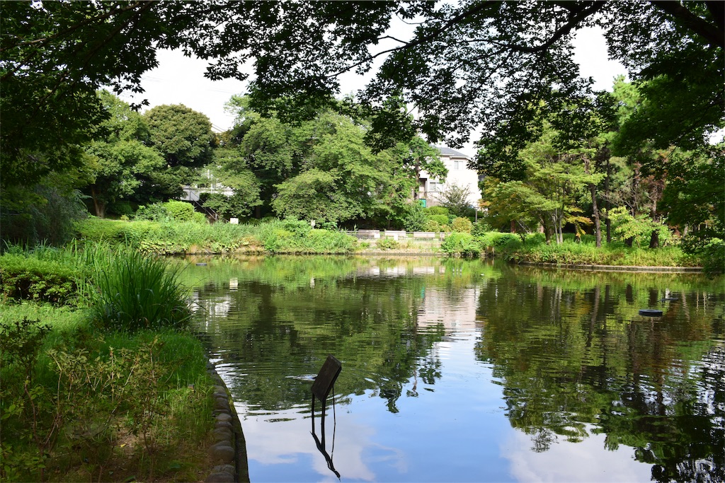 f:id:BullBull-Musao:20190813110953j:image f:id:BullBull-Musao:20190813110953j:image