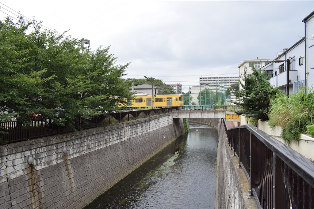 f:id:BullBull-Musao:20190813111836j:image f:id:BullBull-Musao:20190813111836j:image