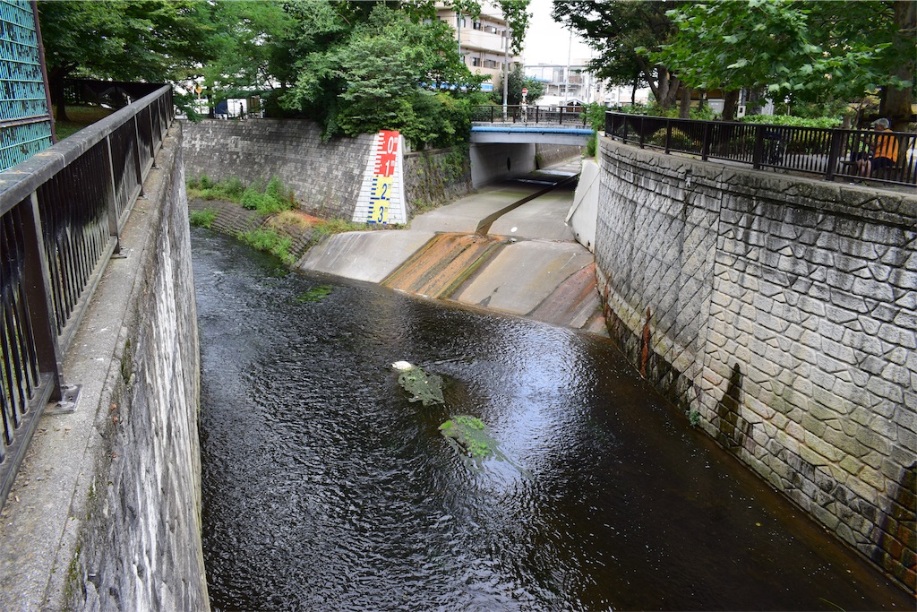 f:id:BullBull-Musao:20190813111912j:image f:id:BullBull-Musao:20190813111912j:image
