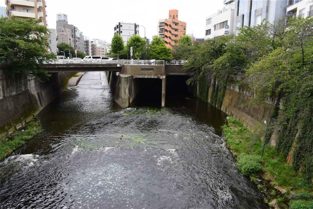 f:id:BullBull-Musao:20190813111939j:image f:id:BullBull-Musao:20190813111939j:image