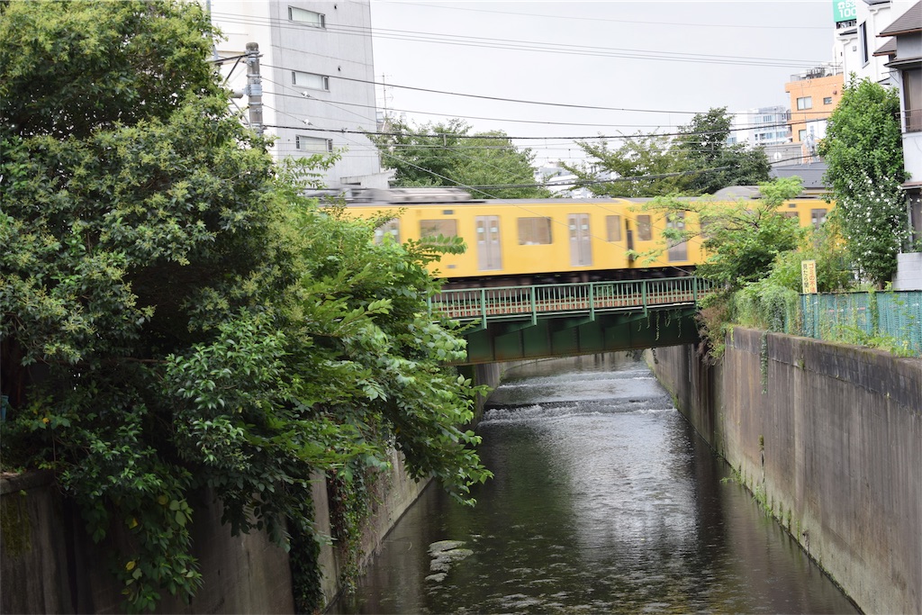 f:id:BullBull-Musao:20190813111948j:image f:id:BullBull-Musao:20190813111948j:image