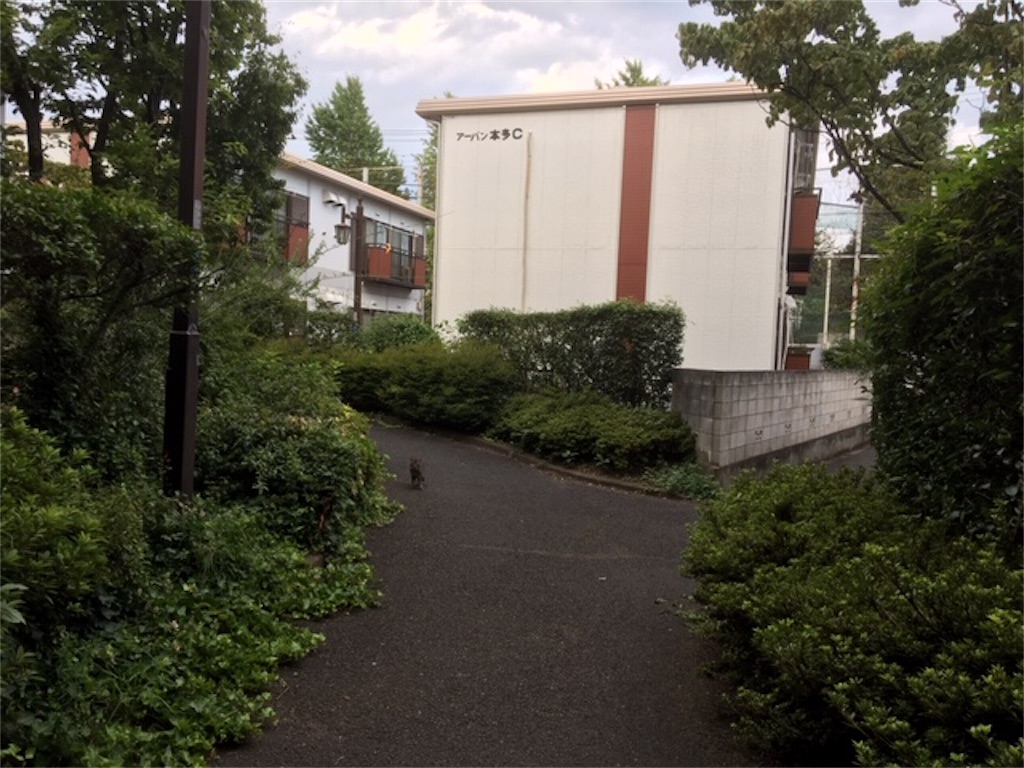 f:id:BullBull-Musao:20190902173059j:image f:id:BullBull-Musao:20190902173059j:image