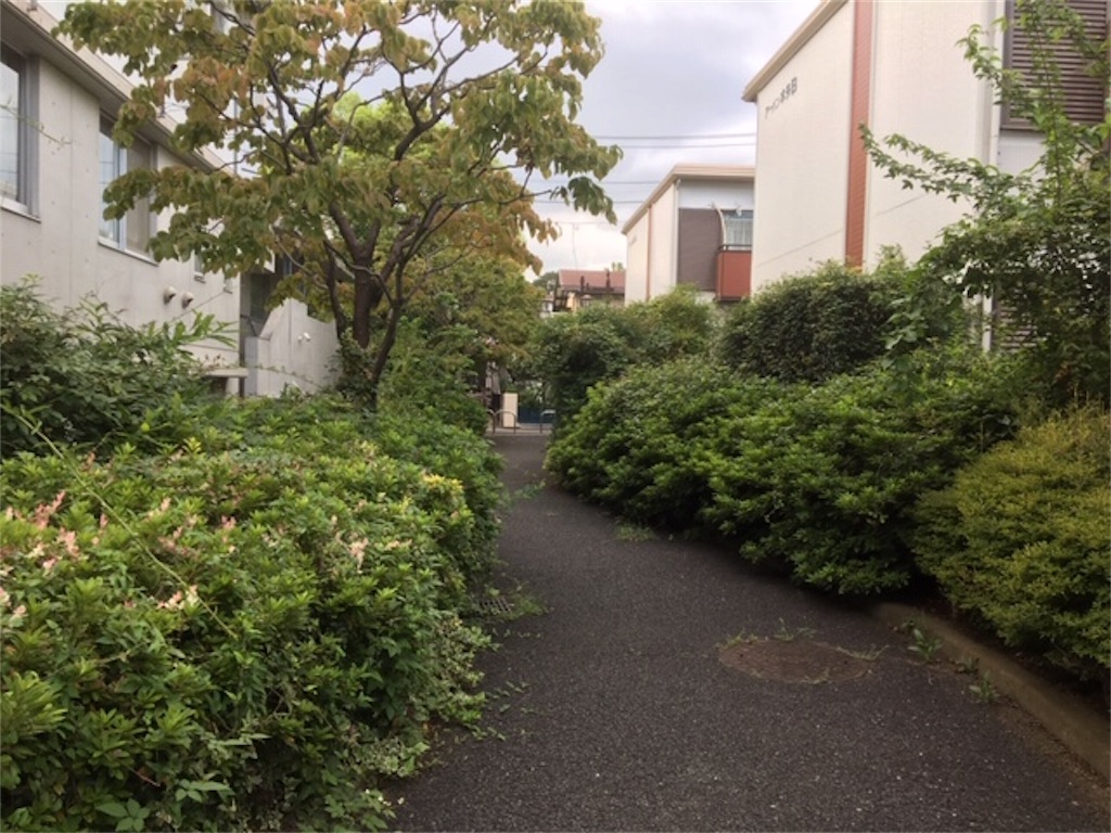 f:id:BullBull-Musao:20190902173248j:image f:id:BullBull-Musao:20190902173248j:image