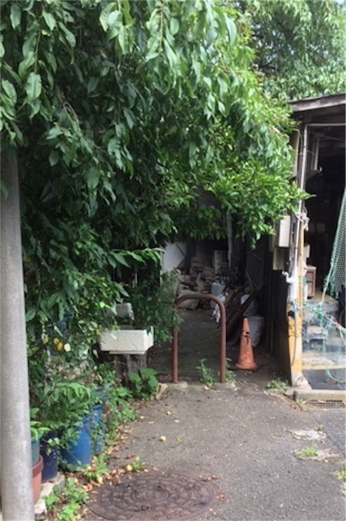 f:id:BullBull-Musao:20190902213354j:image f:id:BullBull-Musao:20190902213354j:image