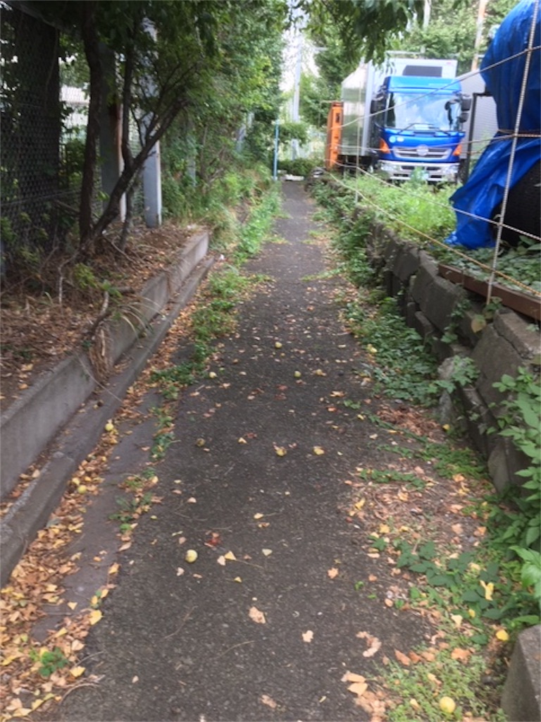 f:id:BullBull-Musao:20190902213400j:image f:id:BullBull-Musao:20190902213400j:image