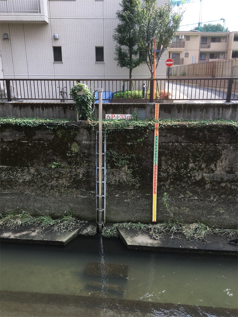 f:id:BullBull-Musao:20190902231249j:image