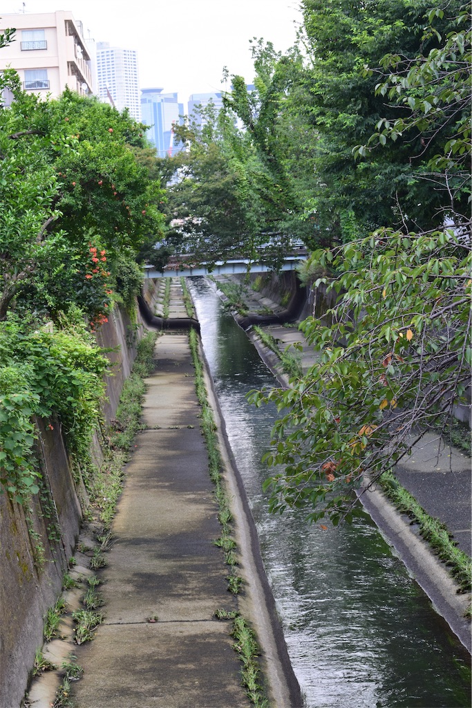 f:id:BullBull-Musao:20190902231258j:image