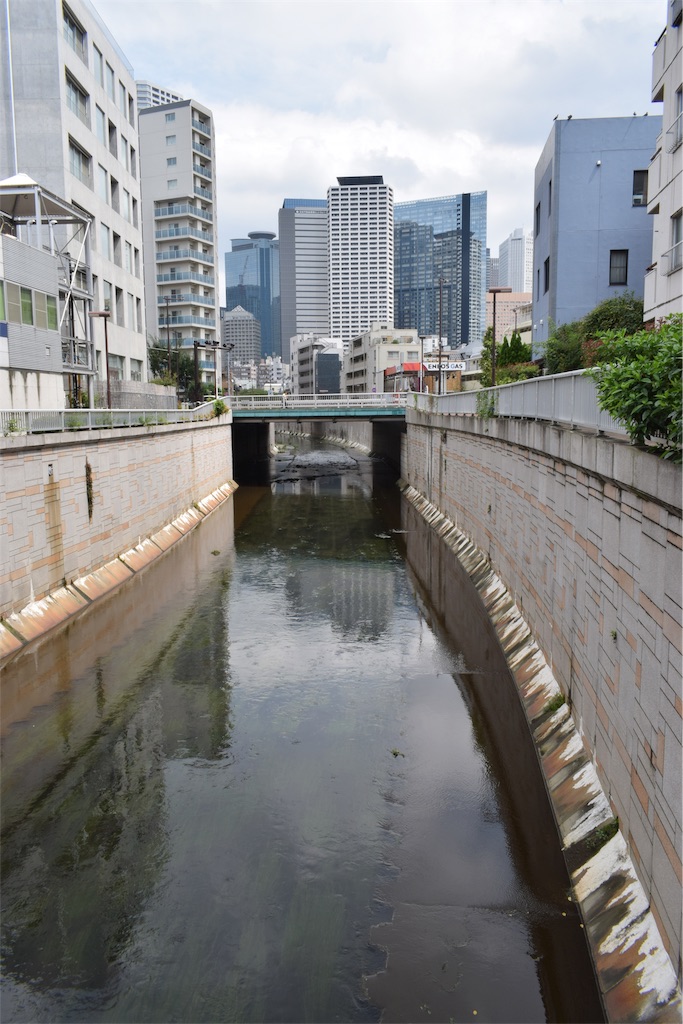 f:id:BullBull-Musao:20190902231305j:image