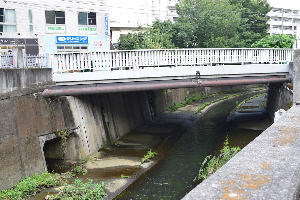 f:id:BullBull-Musao:20190902231312j:image