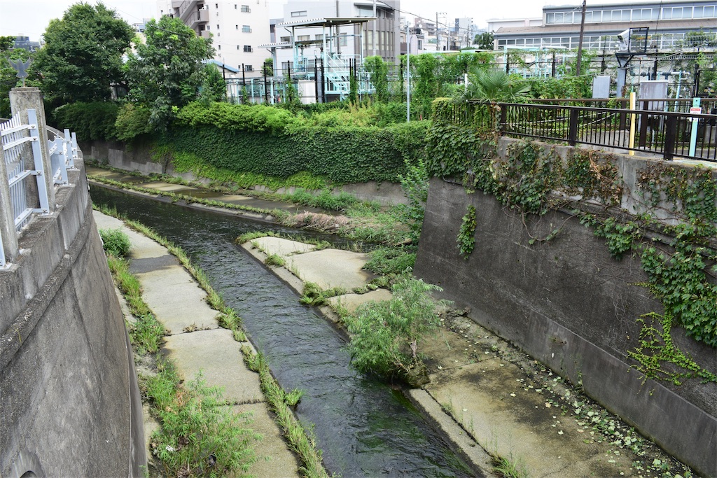 f:id:BullBull-Musao:20190902231320j:image