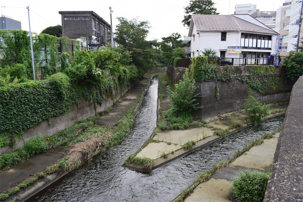 f:id:BullBull-Musao:20190902231330j:image