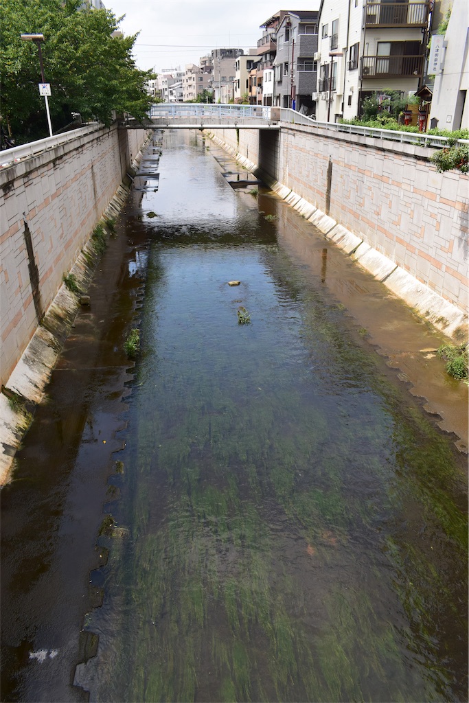 f:id:BullBull-Musao:20190902231339j:image