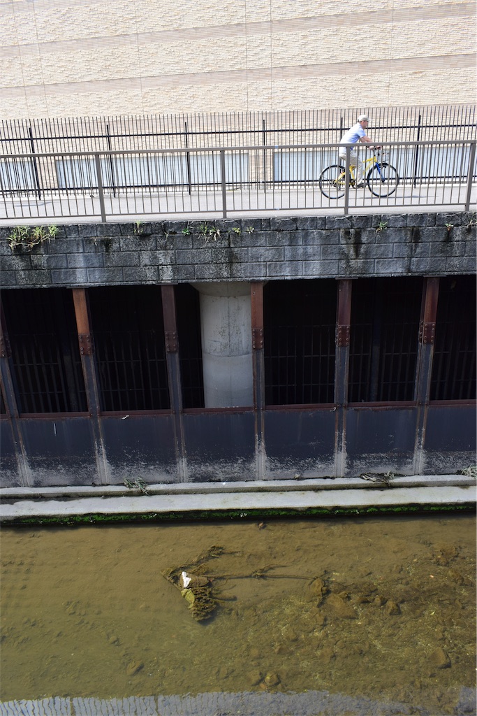 f:id:BullBull-Musao:20190902231812j:image