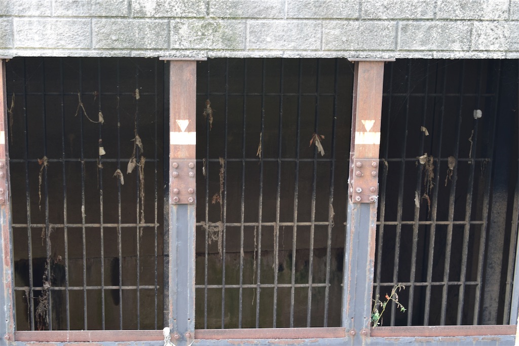 f:id:BullBull-Musao:20190902231821j:image