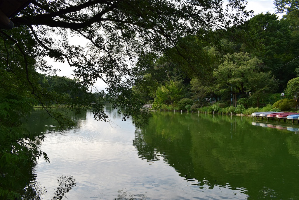 f:id:BullBull-Musao:20190905224005j:image f:id:BullBull-Musao:20190905224005j:image