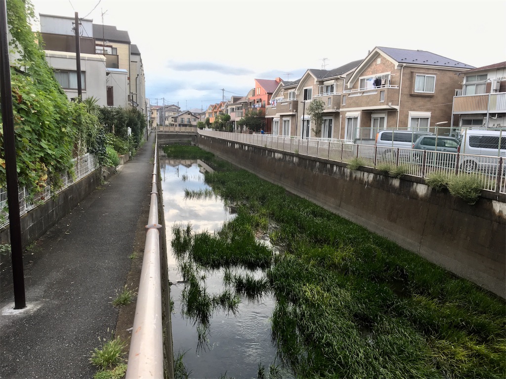 f:id:BullBull-Musao:20190905224016j:image f:id:BullBull-Musao:20190905224016j:image