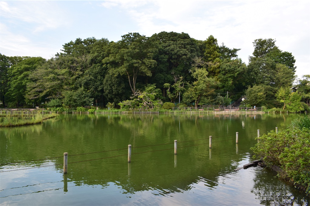 f:id:BullBull-Musao:20190905224137j:image f:id:BullBull-Musao:20190905224137j:image