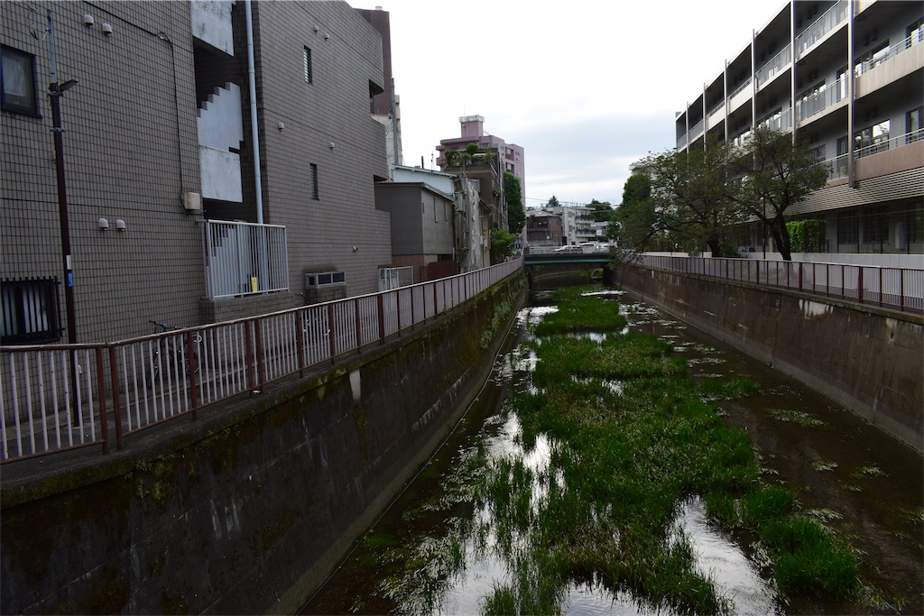 f:id:BullBull-Musao:20190905224239j:image f:id:BullBull-Musao:20190905224239j:image