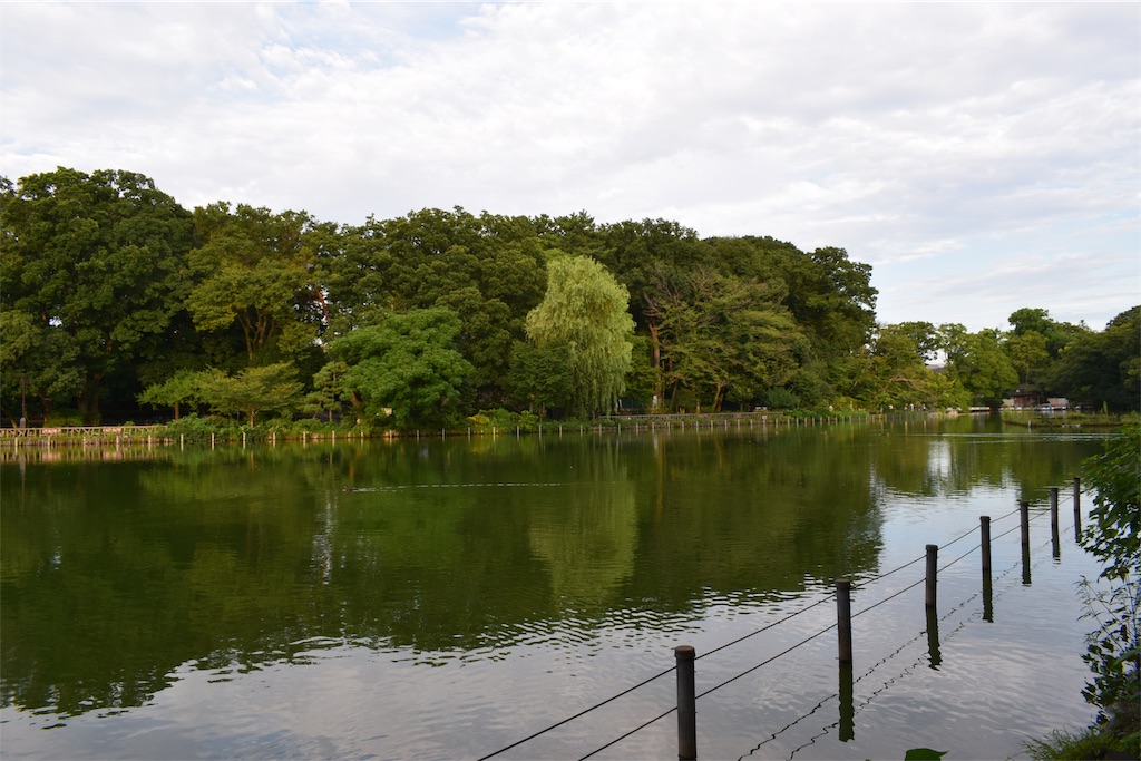 f:id:BullBull-Musao:20190905224252j:image f:id:BullBull-Musao:20190905224252j:image