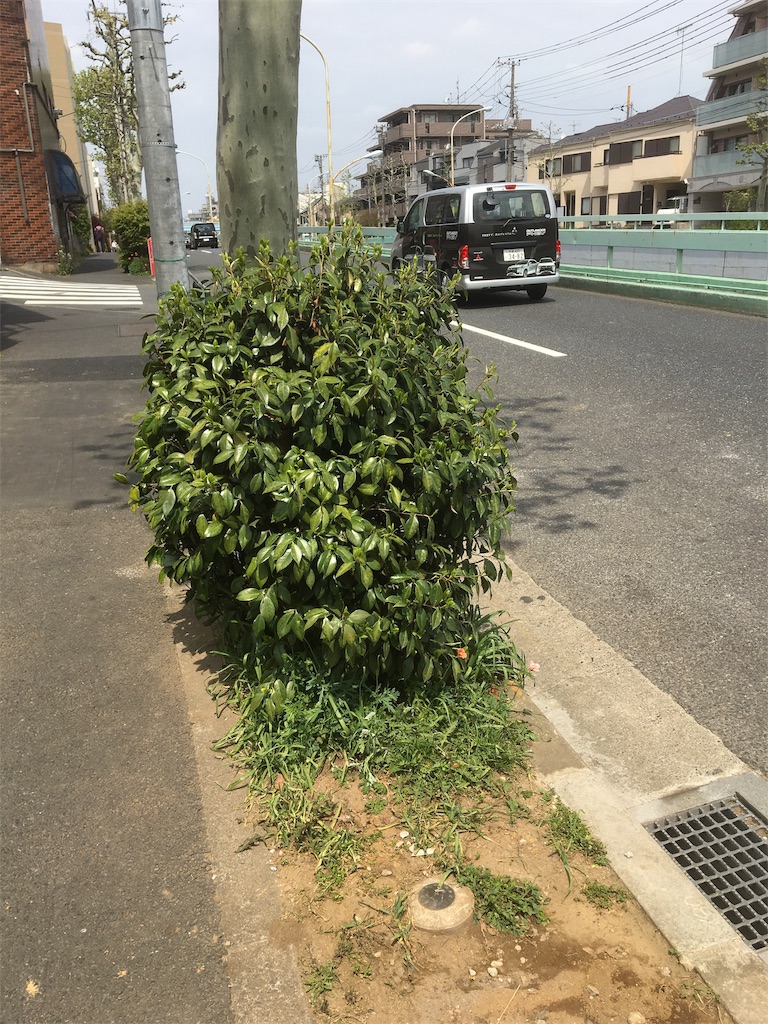 f:id:BullBull-Musao:20190911144050j:image f:id:BullBull-Musao:20190911144050j:image